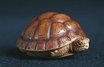 Brown Tortoise Palm Charm